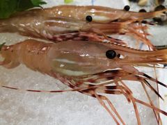 -银子铁板烧料理自助餐(人民广场店)