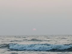 -雷子烧烤(第五大道店)