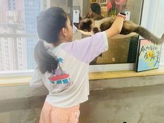 -Heymao猫咖.咖啡厅(东门店)