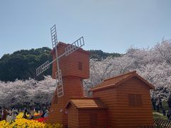 -苏州上方山国家森林公园