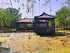 -杨柳青庄园
