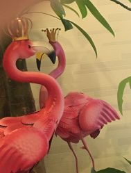 -西美医疗美容门诊部