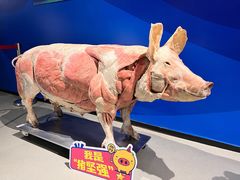 -生命奥秘博物馆