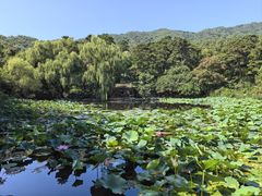 -香山公园