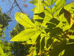 -昆明植物园