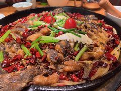 -老板恋上鱼(环山路店)