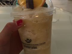 relaxing-Fern Forest Cafe