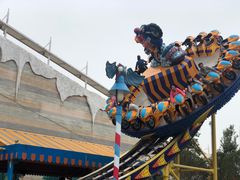 -美的鹭湖探索王国