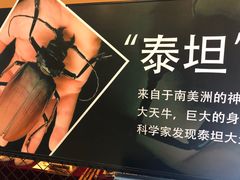 -燕莎友谊商城(亮马桥店)