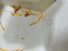 -魏家凉皮(梨园店)