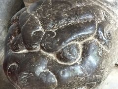 -窦大夫祠