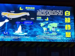 -海合安成都极地海洋公园