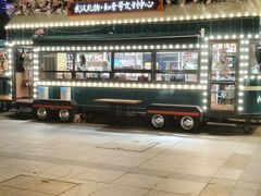 -武汉知音号