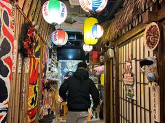 -日吉丸·鸟将军炭火融合酒馆(中央大街店)