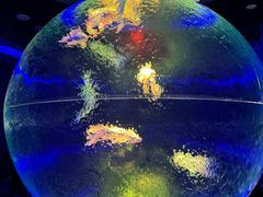 -石家庄极地海洋世界