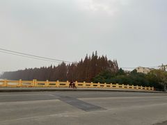 -中国工商银行(上海市张江支行)