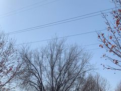 -石家庄市动物园