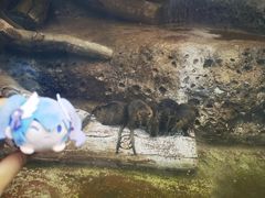-杭州长乔极地海洋公园