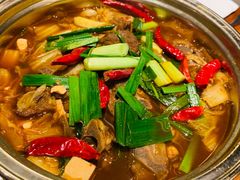 -嘉定凯悦·咖啡厅