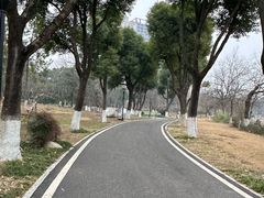 -堤角公园
