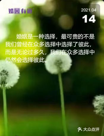 还记得八年前的那个春天的夜晚,我在楼下的小花园捡到了