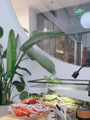 -Sugar苏格婚礼策划工作室