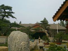 android_upload_pic-中国唐苑