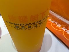 -扶摇树下·椒麻鲜活虾(石家庄勒泰广场店)