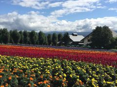 -富田农场
