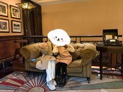 -上海和平饭店 Fairmont Peace Hotel