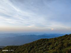 -大围山国家森林公园