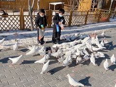 -1982农场