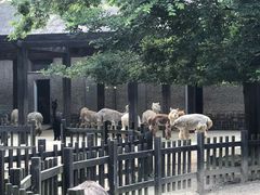 -南昌动物园