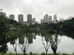 -重庆彩云湖湿地公园