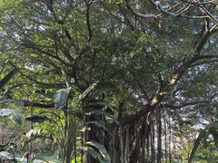 -乌山风景区