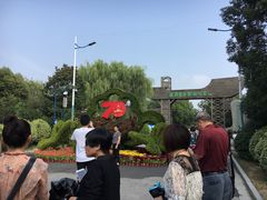 -溱湖国家湿地公园