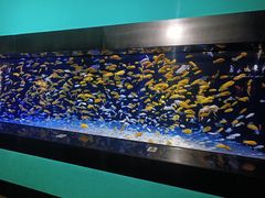 -成都浩海立方海洋公园