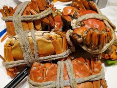 -张江海科雅乐轩聚聚乐