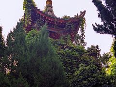 -华清宫景区