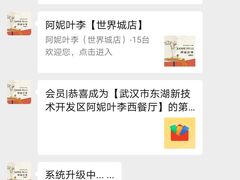 -阿妮叶李(光谷世界城店)