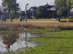 -洋湖国家湿地公园