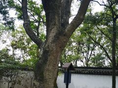 -上海佘山国家森林公园天马山园