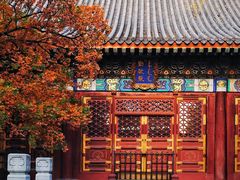 -香山公园