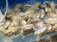 -雅逸居海鲜小厨