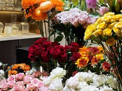 -植物学家的女儿(北马道巷店)