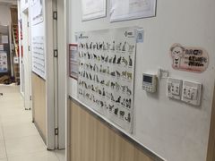 -宠福鑫康馨动物医院·骨科·眼科