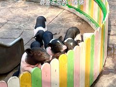 -南湖梦幻岛