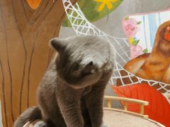 -么么咖啡(燕郊店)