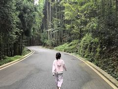 -山王坪喀斯特国家生态公园