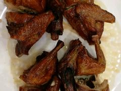 -鸽鸟轩(石岐店)